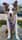 Rush_the_aussie