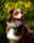 Mrzacktheredtriaussie