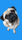 Oscarthelazypug