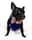 Josephine_and_Mochi