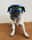 maxthepug076