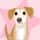 heykirbydog