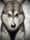 nagathemalamute