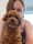 ketchup.cavoodle