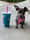 beanthechipuppy