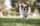 that.teacher.with.the.dog