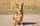 Kinleigh_r_e