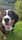 cosmo_the_berner