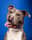 jasper_themerle