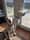 Dream_dogo