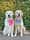 gvl_golden_girls