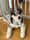 Ben_Hughes488