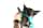 thetworescuepups