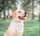 acethelabraheeler