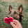 lottie_gsd_dog