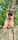 Buddy_the.gsd