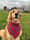 Farm_life_with_court