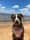 my.pawfect.pup