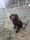 Madmackthesprocker