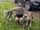 fittertogetheruk
