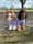 The_gardnergirls