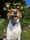 aspenthecoonhound