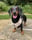 _richmond_sausage_