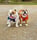 Queenie & Hugo Bulldogs