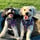 thepawsofcookieandbiscuit