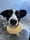 Oreo🐾The Border Collie