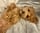 Livvy - poodle