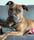 Karma