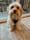 Oliver