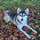 Lynn