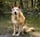 Soichiro