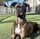 Cassius