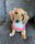 Sadie