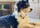 Nouga