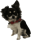 Burrito