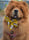 Saffy