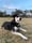 Winifred (Winnie)