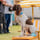 Dillon