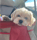 Rupert