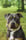Jax