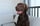 Shilo