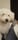 SCAMPY