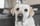 Balu