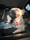 Francisca