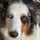 Bodhi