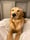 Guster (Gus)